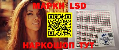 эйфоретик Гудермес