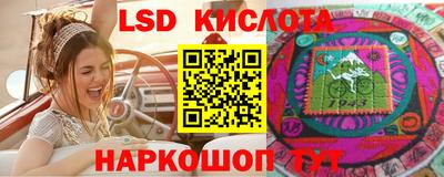 эйфоретик Гудермес
