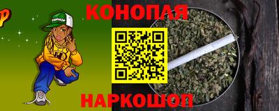 эйфоретик Гудермес