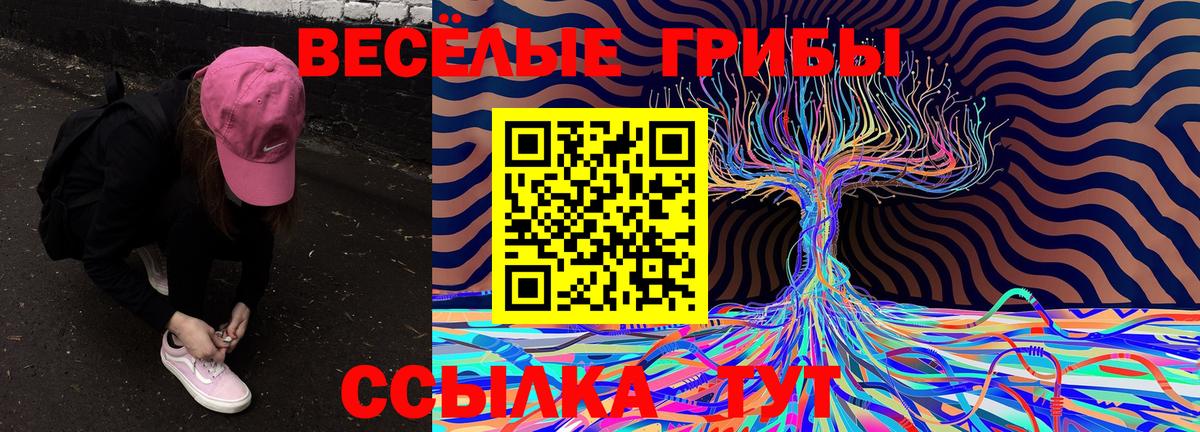 Псилоцибиновые грибы Psilocybe  Вход с VPN  Губкинский 