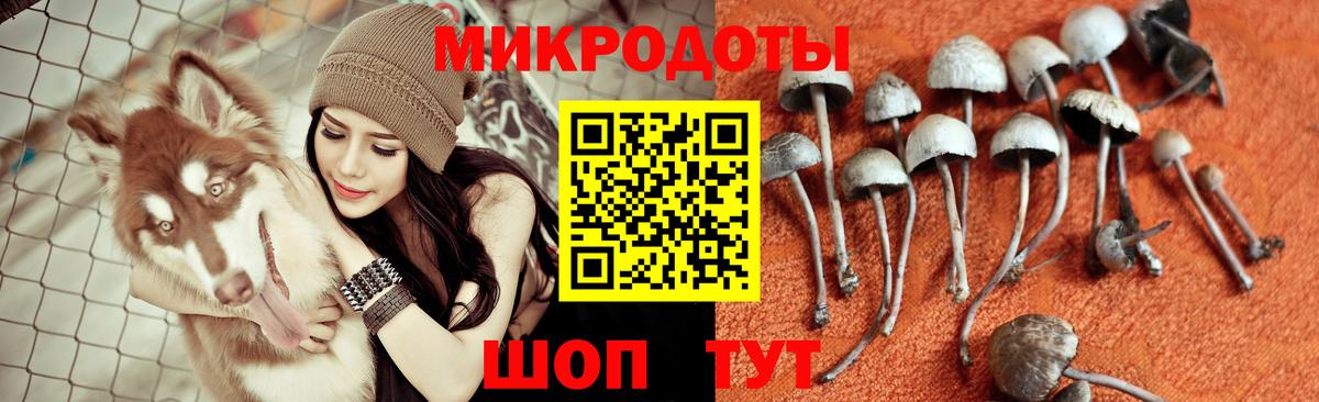 Галлюциногенные грибы мицелий Губкинский