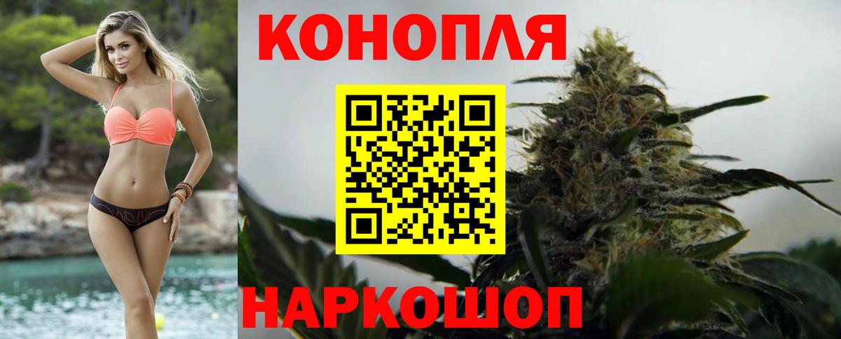Бошки Шишки ГИДРОПОН  Бошки Шишки гибрид  Вход с VPN  Губкинский 